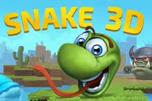 3D SNAKE