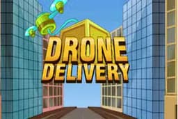 Drone Delivery