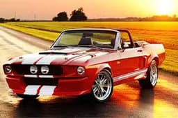 Fancy Mustang Differences