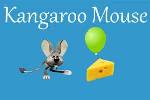 Kangaroo Mouse