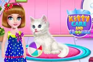 Kitty Care and Grooming