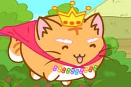 Kitty Cat Power
