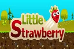 Little Strawberry