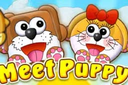 Meet Puppy