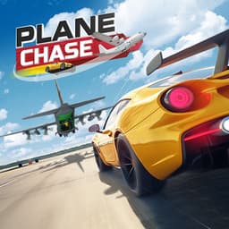 Plane Chase