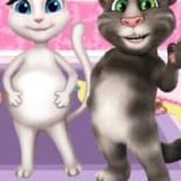 Preganat Kitty Room Decor