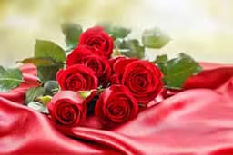Red Roses Puzzle