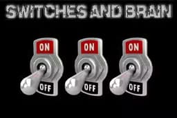 Switches and Brain