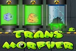 Transmorpher 1