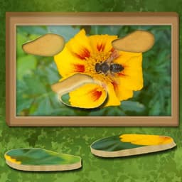 Find & Restore: Hidden Puzzle