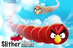 Slither Birds