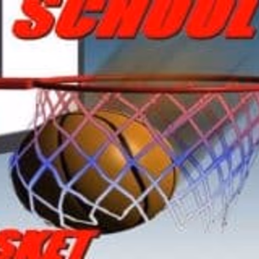 Basketball School