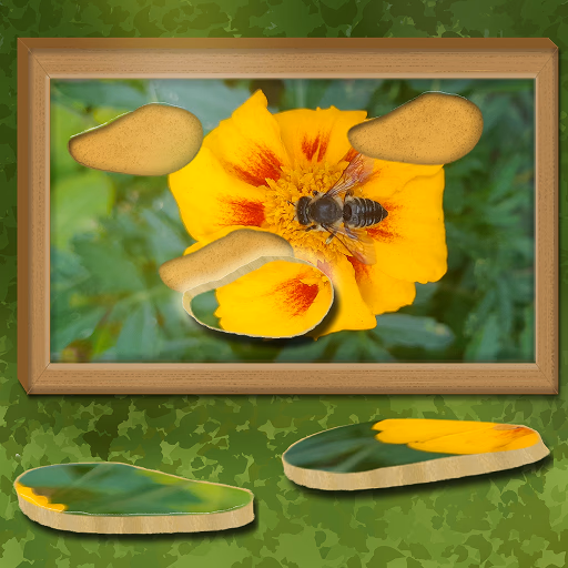 Find & Restore: Hidden Puzzle