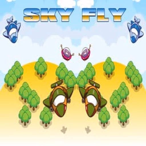 Sky Fly