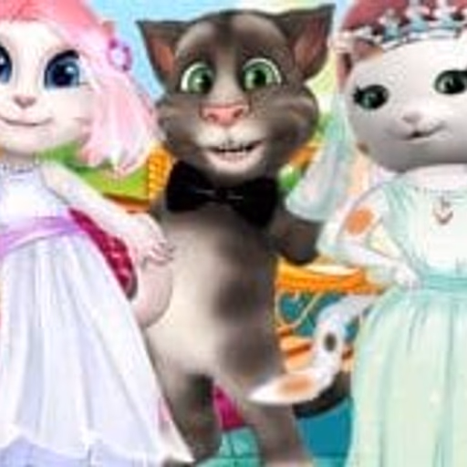 White Kittens Bride Contest